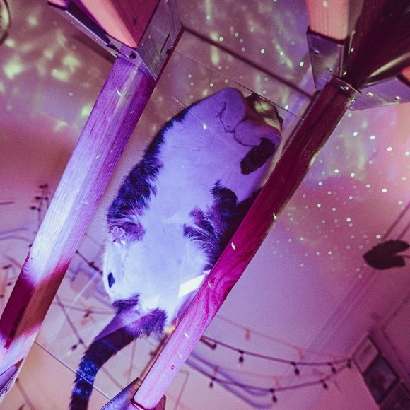 Welcome to my closet! 🥰 - Picture 5 of 6